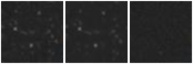 Missing file AGC239063-custom-montage-W1W2.png