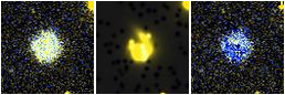 Missing file IC4341-custom-montage-FUVNUV.png