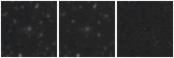 Missing file PGC087294-custom-montage-W1W2.png