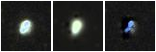 Missing file PGC1279452-custom-montage-FUVNUV.png