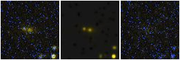 Missing file PGC2171375-custom-montage-FUVNUV.png
