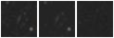 Missing file SDSSJ135446.92+462005.1-custom-montage-W1W2.png