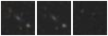 Missing file SDSSJ135527.73+395847.3-custom-montage-W1W2.png