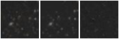Missing file AGC239145-custom-montage-W1W2.png