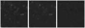 Missing file AGC239147-custom-montage-W1W2.png