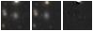Missing file PGC049735-custom-montage-W1W2.png