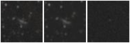 Missing file PGC1266441-custom-montage-W1W2.png