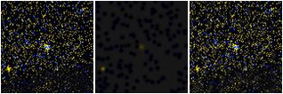 Missing file PGC1767195-custom-montage-FUVNUV.png