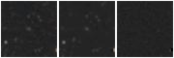 Missing file PGC1767195-custom-montage-W1W2.png
