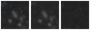 Missing file PGC2395690-custom-montage-W1W2.png