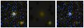 Missing file PGC2590282-custom-montage-FUVNUV.png