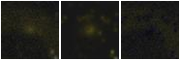 Missing file SDSSJ135621.34+051944.3-custom-montage-FUVNUV.png
