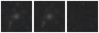Missing file SDSSJ135621.34+051944.3-custom-montage-W1W2.png