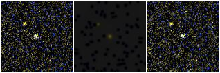 Missing file SDSSJ135747.45+470115.6-custom-montage-FUVNUV.png