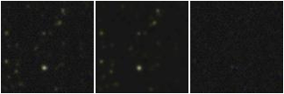 Missing file VVDS140092139-custom-montage-FUVNUV.png