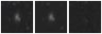 Missing file PGC084097-custom-montage-W1W2.png