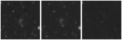 Missing file PGC2325111-custom-montage-W1W2.png