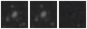 Missing file PGC050212-custom-montage-W1W2.png