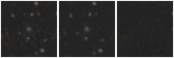 Missing file PGC2380196-custom-montage-W1W2.png