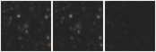 Missing file PGC2380535-custom-montage-W1W2.png