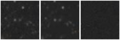 Missing file PGC3302700-custom-montage-W1W2.png
