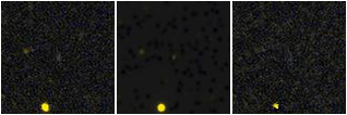 Missing file PGC3302747-custom-montage-FUVNUV.png