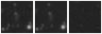 Missing file SDSSJ140749.40+464824.2-custom-montage-W1W2.png