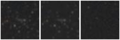 Missing file PGC091337-custom-montage-W1W2.png