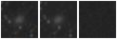 Missing file PGC1278091-custom-montage-W1W2.png