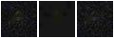 Missing file SDSSJ140855.79+550119.4-custom-montage-FUVNUV.png