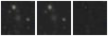 Missing file SDSSJ140942.03+563231.4-custom-montage-W1W2.png