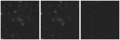 Missing file SDSSJ140949.96+571329.7-custom-montage-W1W2.png