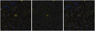 Missing file VFID1864-custom-montage-FUVNUV.png