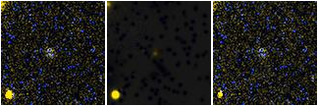 Missing file AGC243830-custom-montage-FUVNUV.png