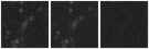 Missing file PGC2167923-custom-montage-W1W2.png