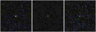 Missing file SDSSJ141347.57+574022.7-custom-montage-FUVNUV.png
