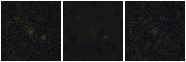 Missing file SDSSJ141354.14+551603.3-custom-montage-FUVNUV.png
