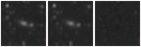 Missing file PGC051086-custom-montage-W1W2.png