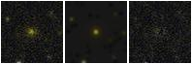 Missing file PGC051157-custom-montage-FUVNUV.png