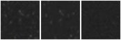 Missing file PGC1672146-custom-montage-W1W2.png