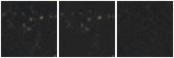 Missing file PGC3126117-custom-montage-W1W2.png