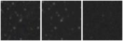 Missing file SDSSJ141645.66+363112.8-custom-montage-W1W2.png
