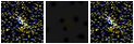 Missing file SDSSJ141912.72+502626.5-custom-montage-FUVNUV.png