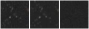 Missing file PGC1150546-custom-montage-W1W2.png
