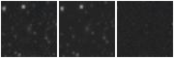 Missing file PGC1231137-custom-montage-W1W2.png