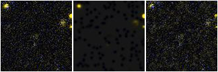 Missing file PGC2061673-custom-montage-FUVNUV.png