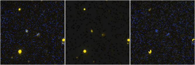 Missing file PGC2807205_GROUP-custom-montage-FUVNUV.png