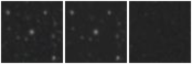 Missing file SDSSJ142331.23+532625.7-custom-montage-W1W2.png