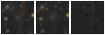 Missing file SDSSJ142359.17+495011.2-custom-montage-W1W2.png
