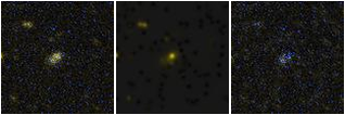 Missing file AGC248938-custom-montage-FUVNUV.png